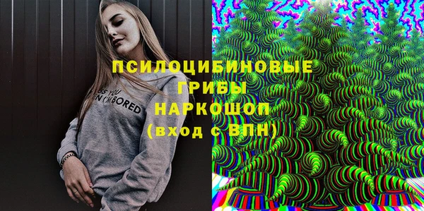 крисы Новозыбков