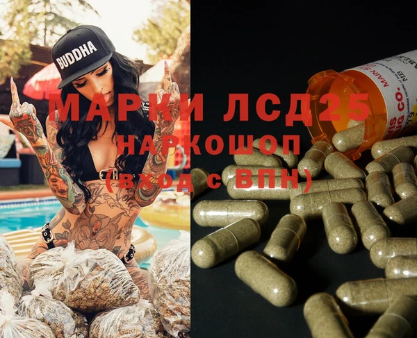 крисы Новодвинск