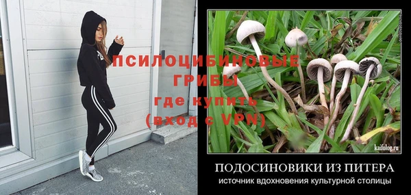 мескалин Няндома