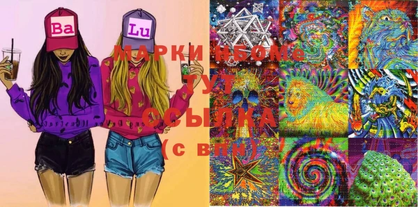 крисы Новодвинск